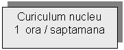 Text Box: Curiculum nucleu
1  ora / saptamana

